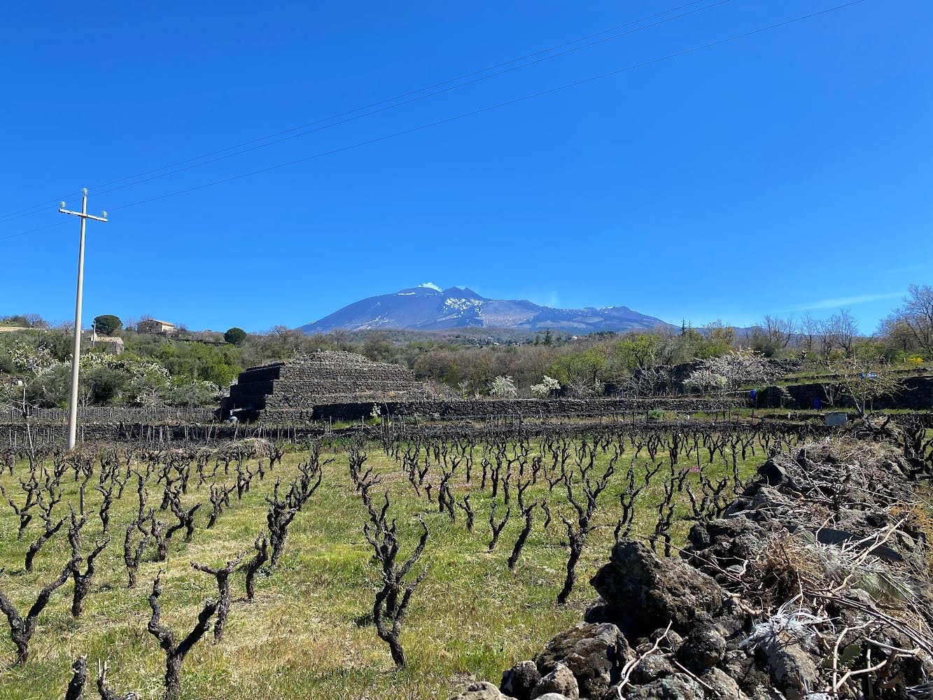 Etna Wine Forum